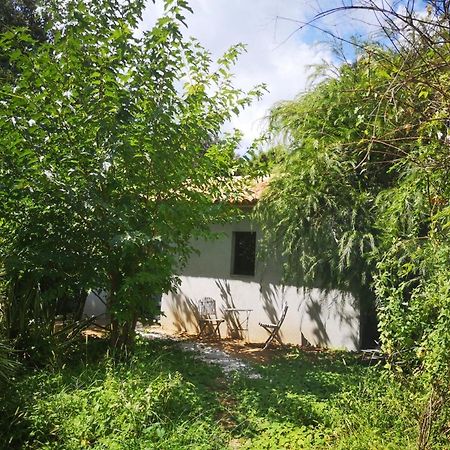 Villa Griseor Porto-Vecchio  Eksteriør bilde