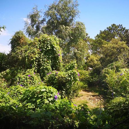 Villa Griseor Porto-Vecchio  Eksteriør bilde