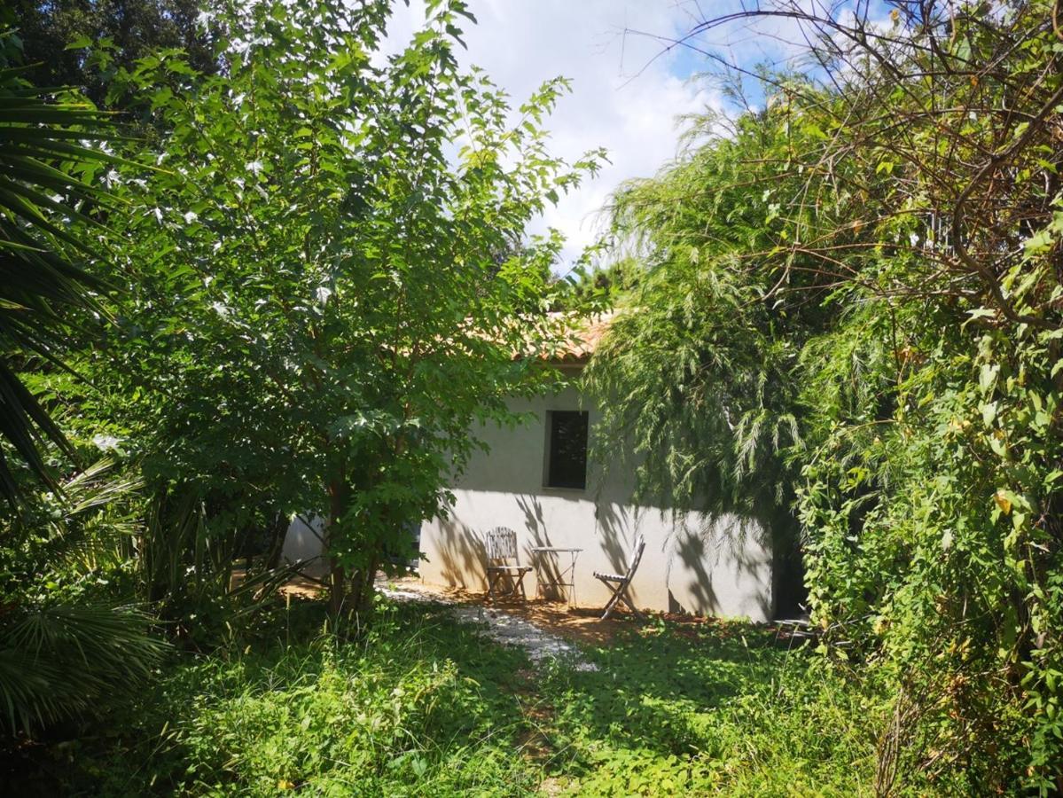 Villa Griseor Porto-Vecchio  Eksteriør bilde
