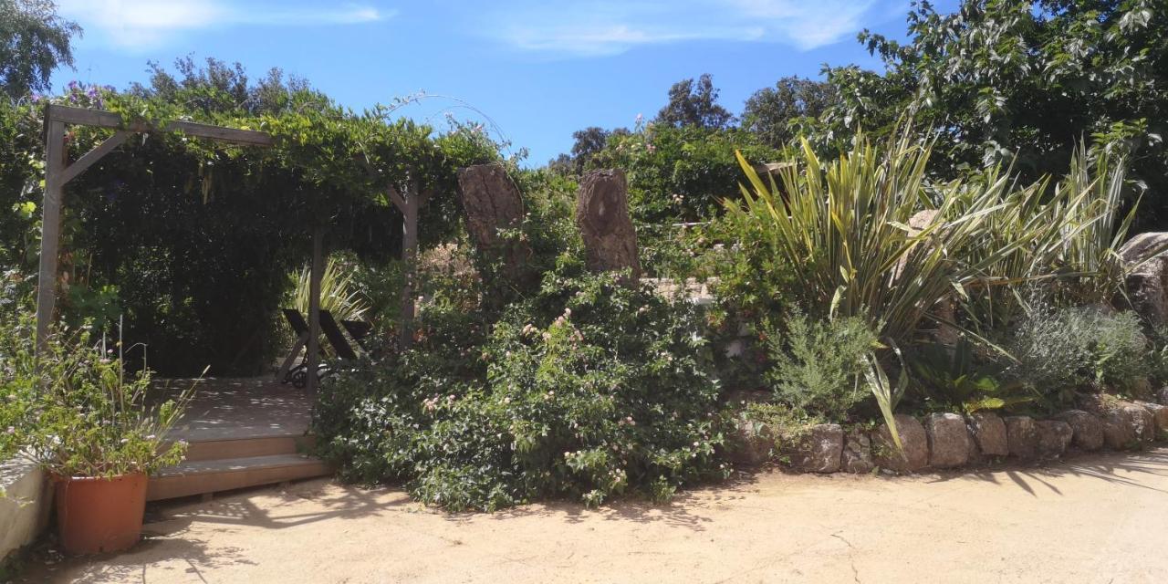 Villa Griseor Porto-Vecchio  Eksteriør bilde