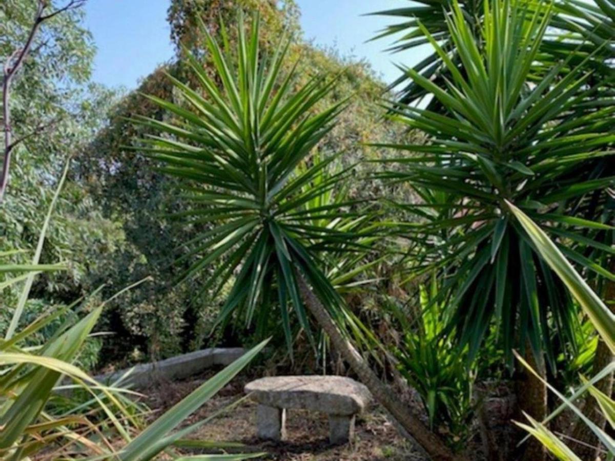 Villa Griseor Porto-Vecchio  Eksteriør bilde