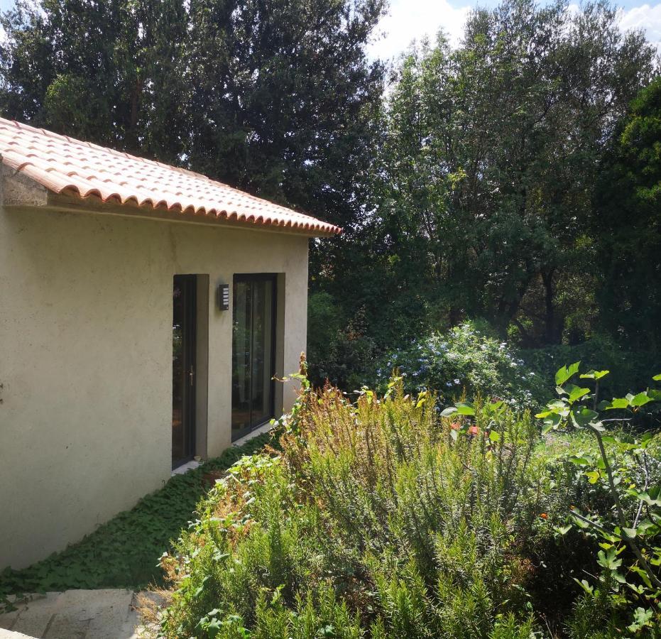 Villa Griseor Porto-Vecchio  Eksteriør bilde